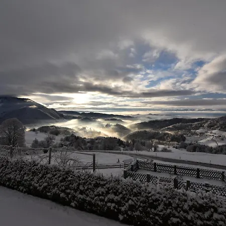 Slovenia Valley Views Villa *